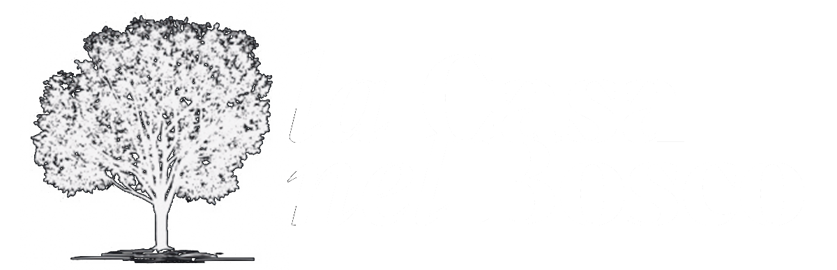 logo light